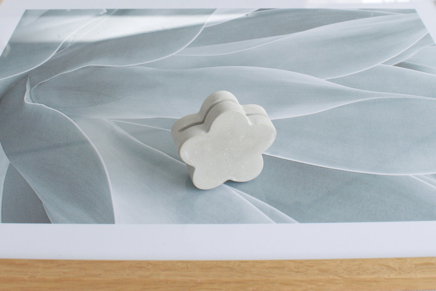 Fotohalter aus Beton, Fotoaufsteller, Tischdeko Hochzeit,  Visitenkartenhalter Herz, Blume, Kreis oder Regenbogen, Kartenhalter aus Beton